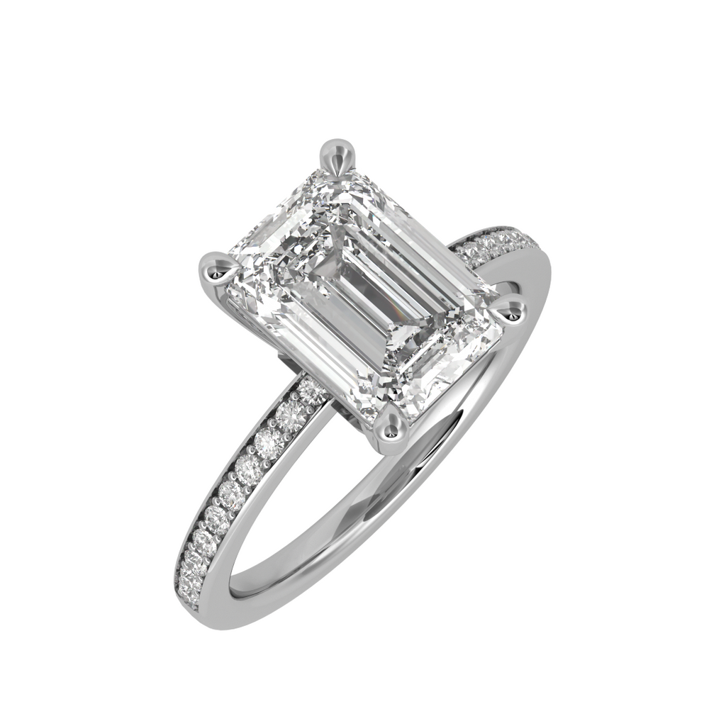 Image visualization and rendering services