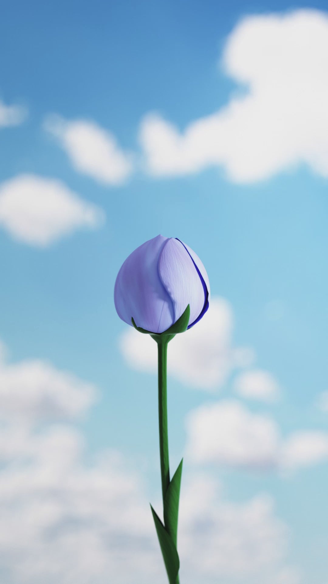 video visualization and rendering services